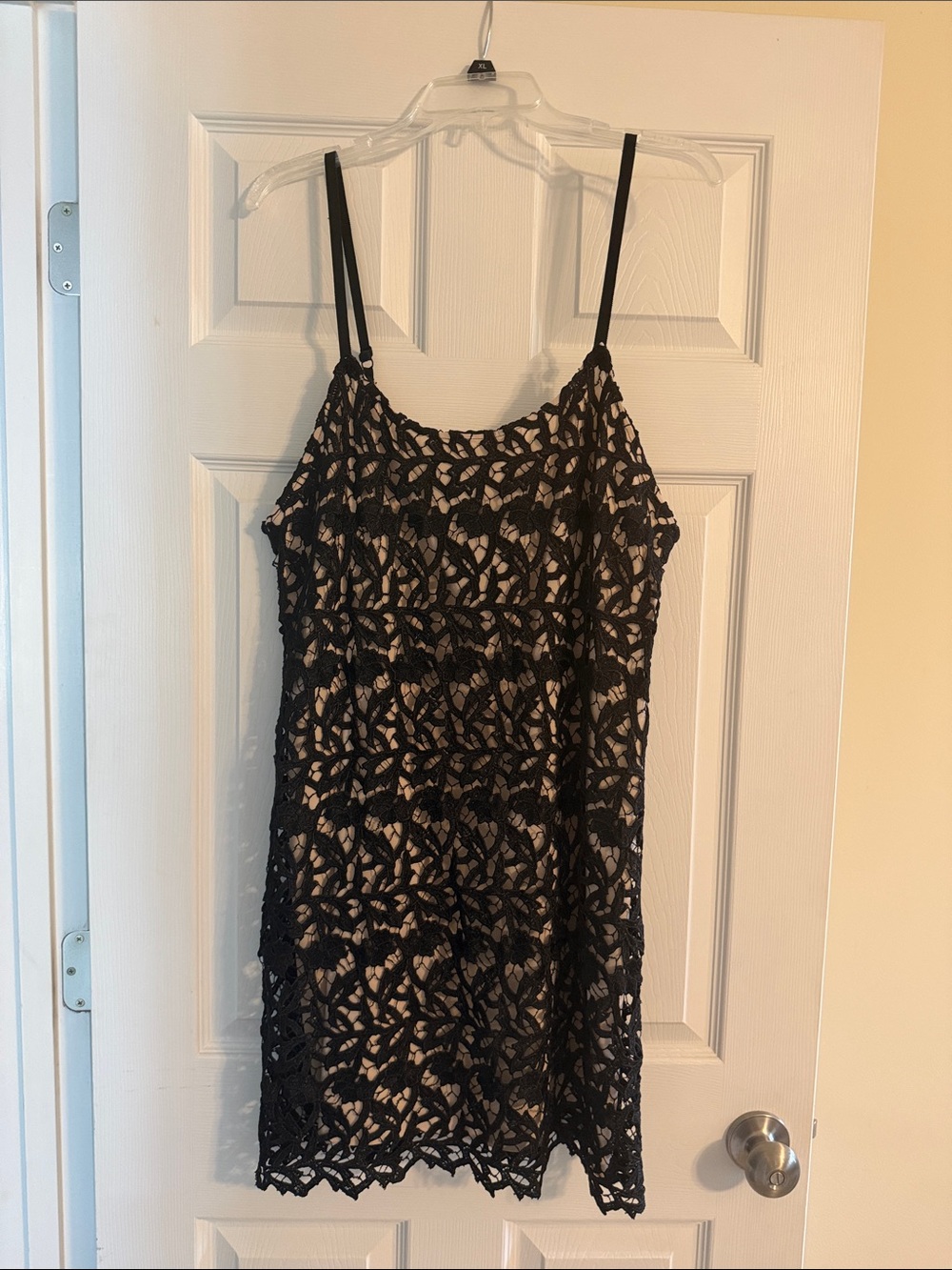 Alice + Olivia Black Lace Overlay Mini Dress with Nude Slip